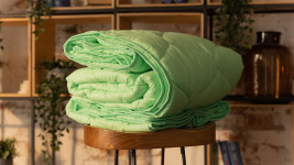 Купить Бамбук Лето Купить Бамбук Лето