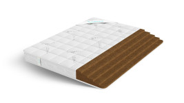 Купить Cocos 15